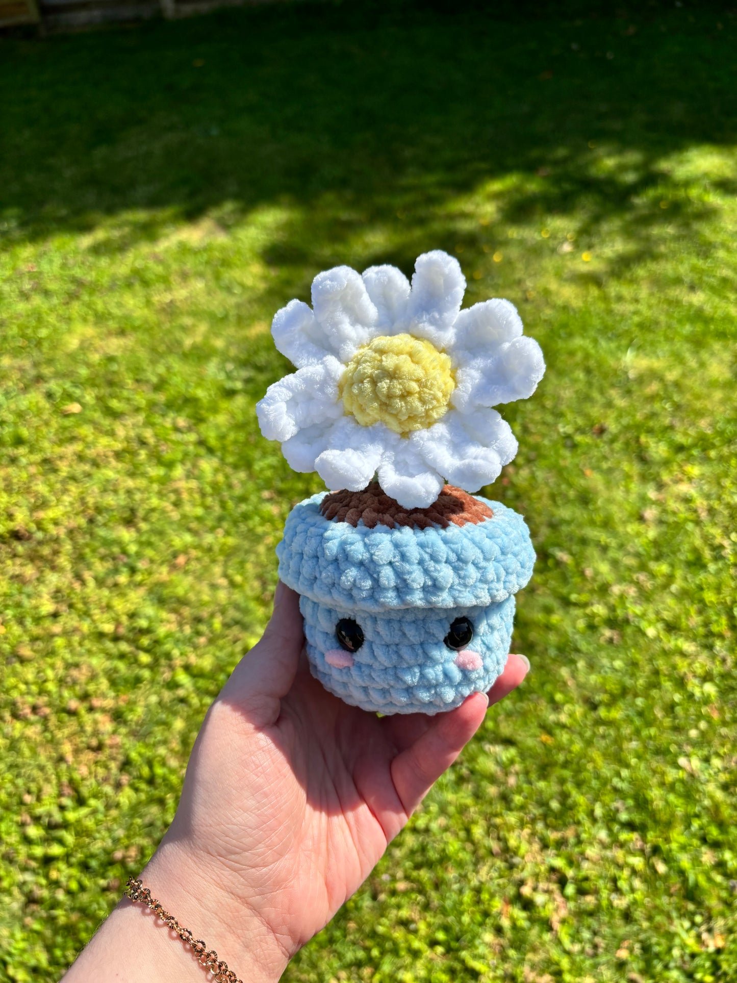 Pot marguerite 🌼