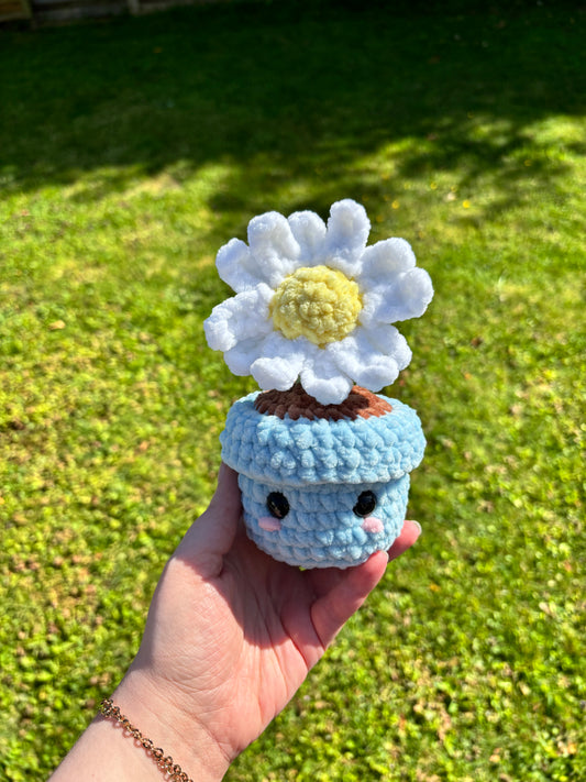 Pot marguerite 🌼