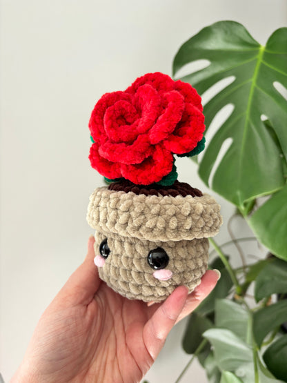 Pot rose