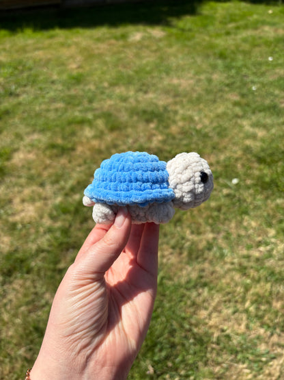 Mini tortue