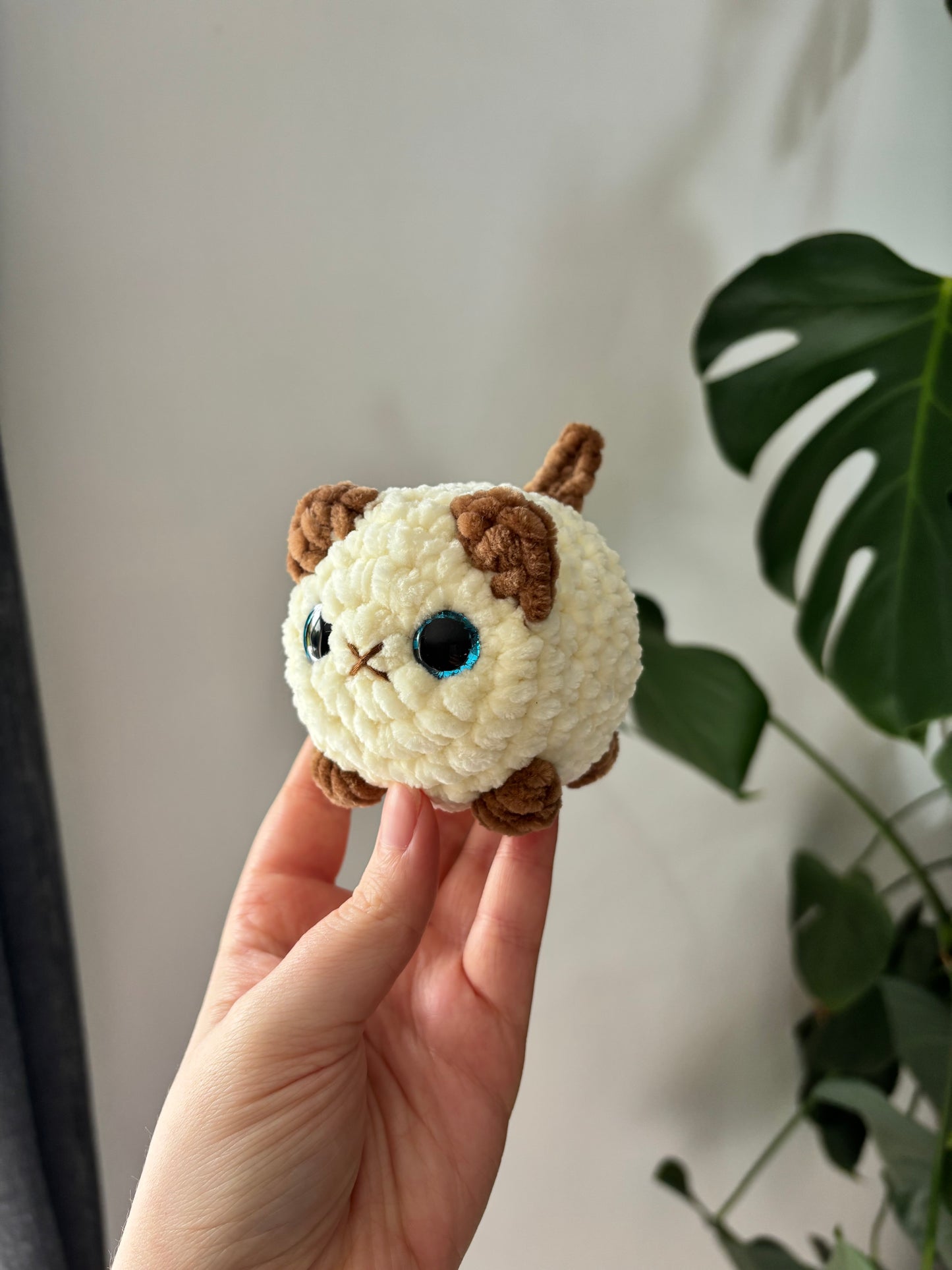 Mini chat brioche