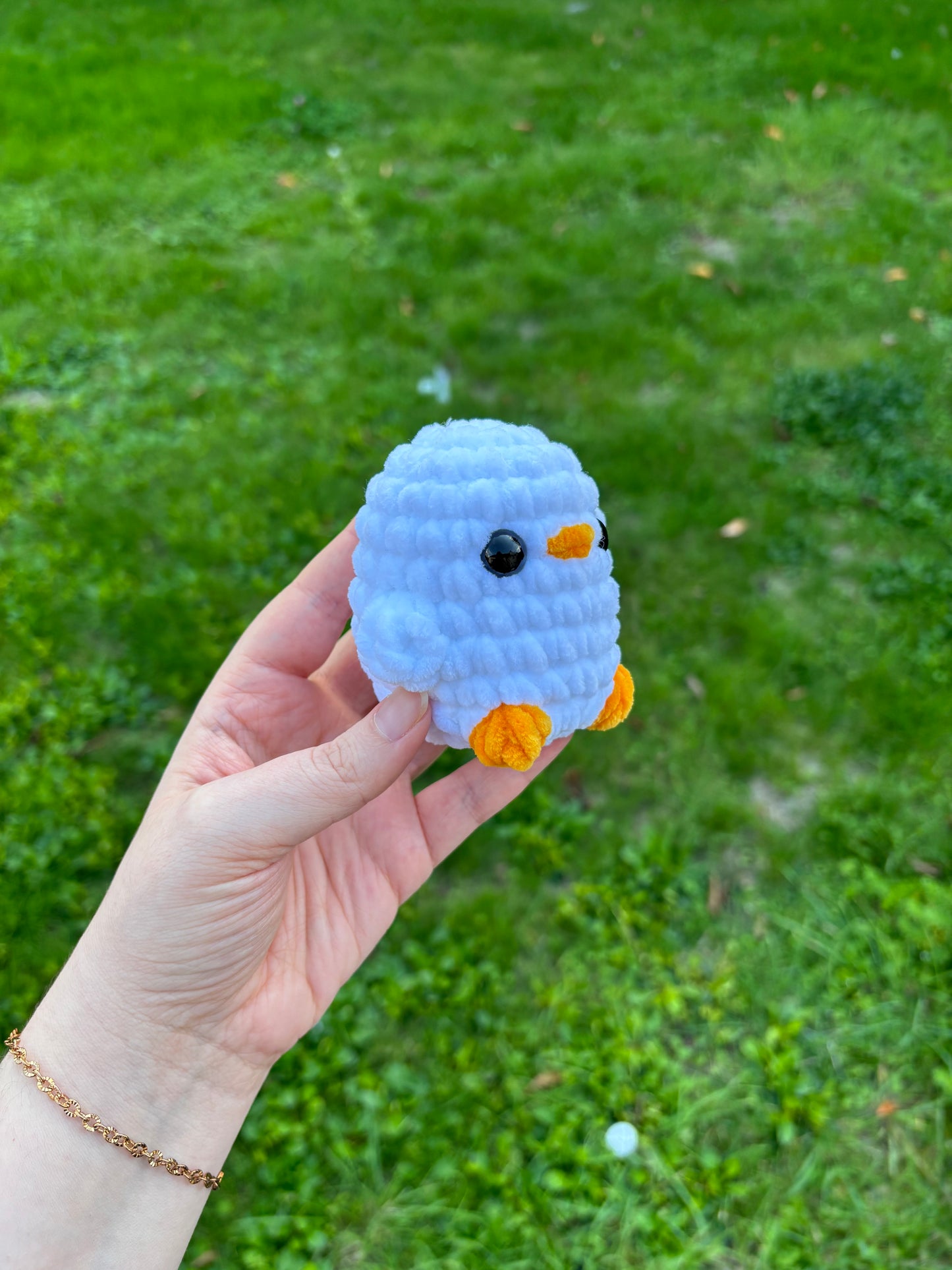 Petit poussin/canard