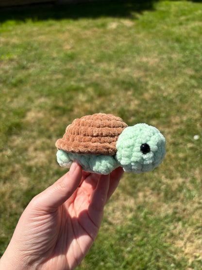 Mini tortue