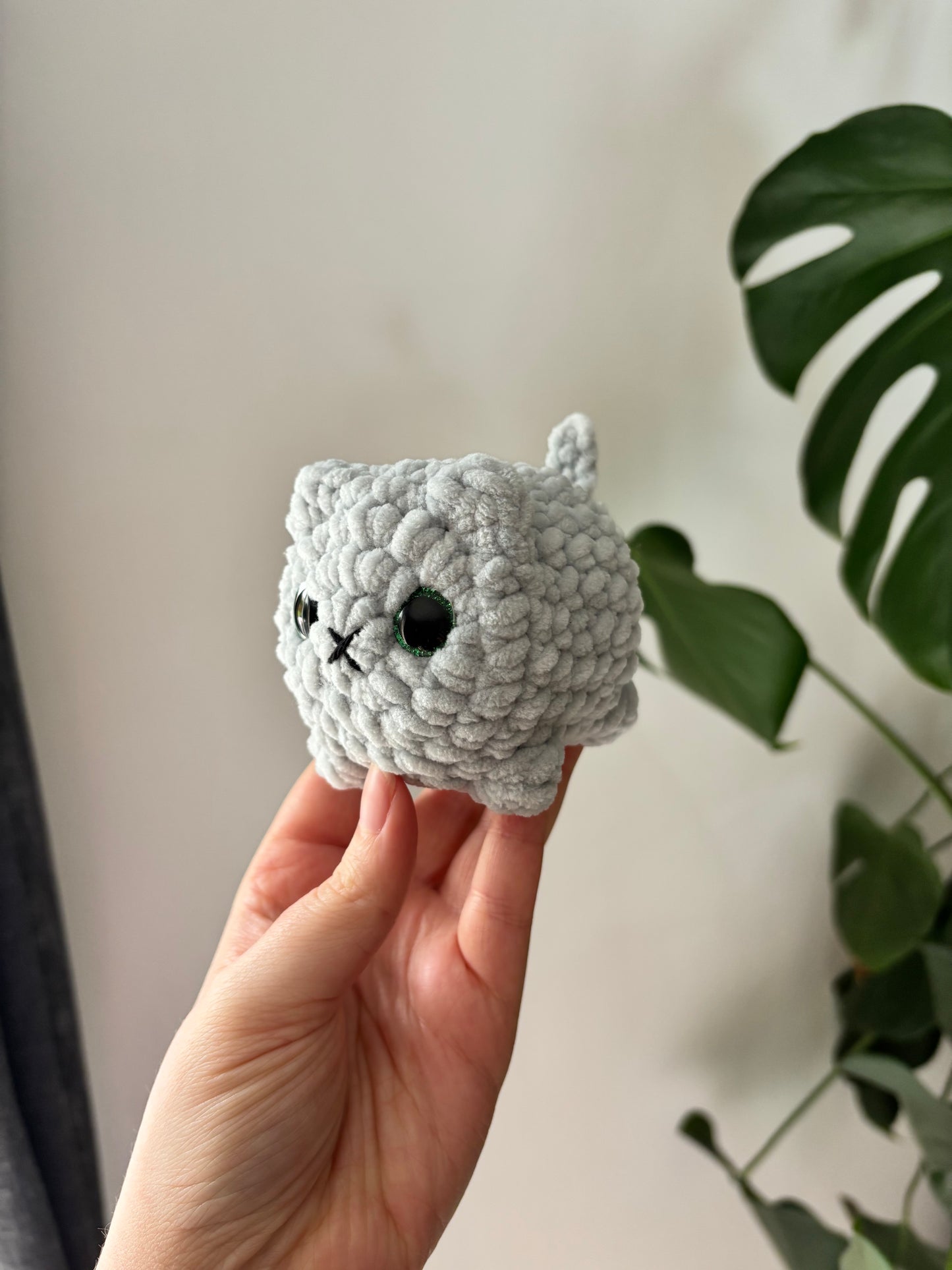 Mini chat brioche