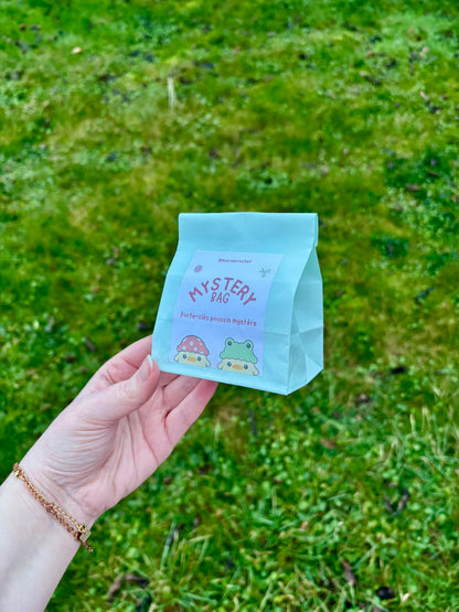 ❓sachet mystère ❓