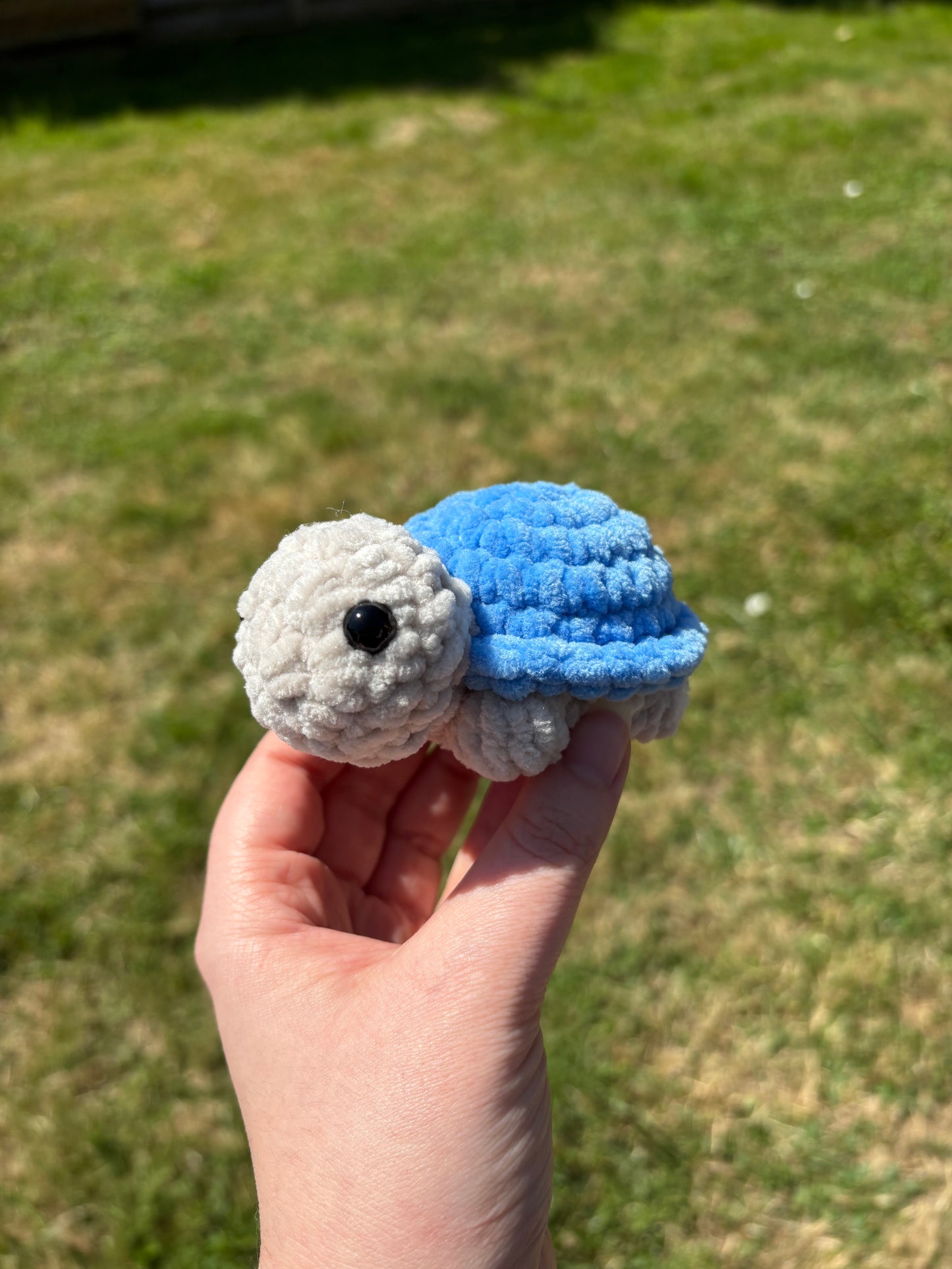 Mini tortue