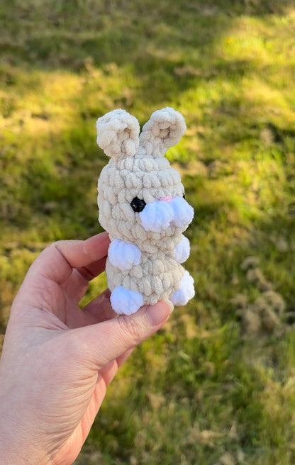Lapin dans sa carotte 🥕