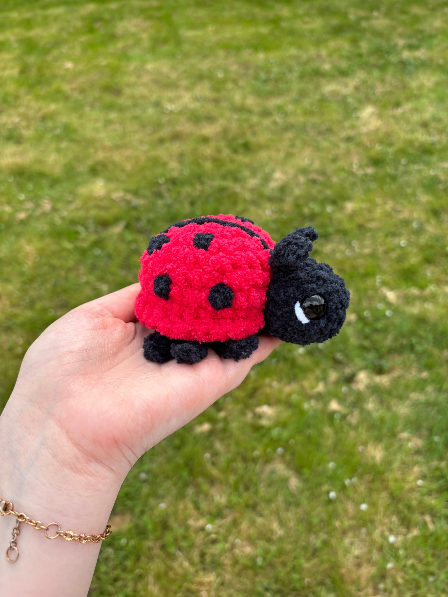 Coccinelle