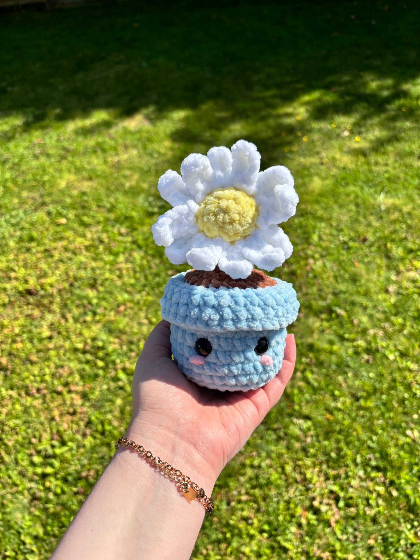Pot marguerite 🌼