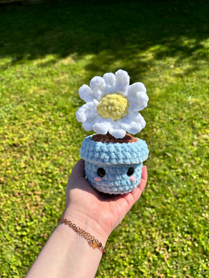Pot marguerite 🌼