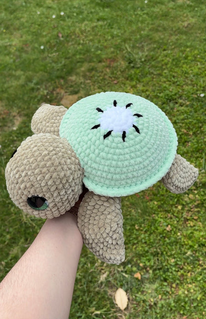 Tortue kiwi 🥝