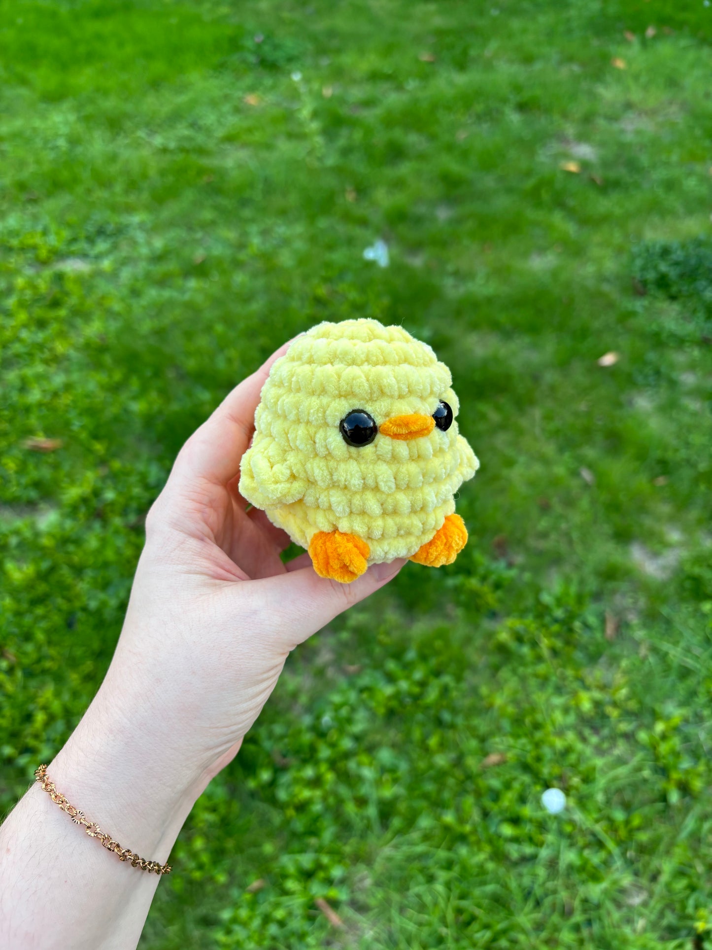 Petit poussin/canard