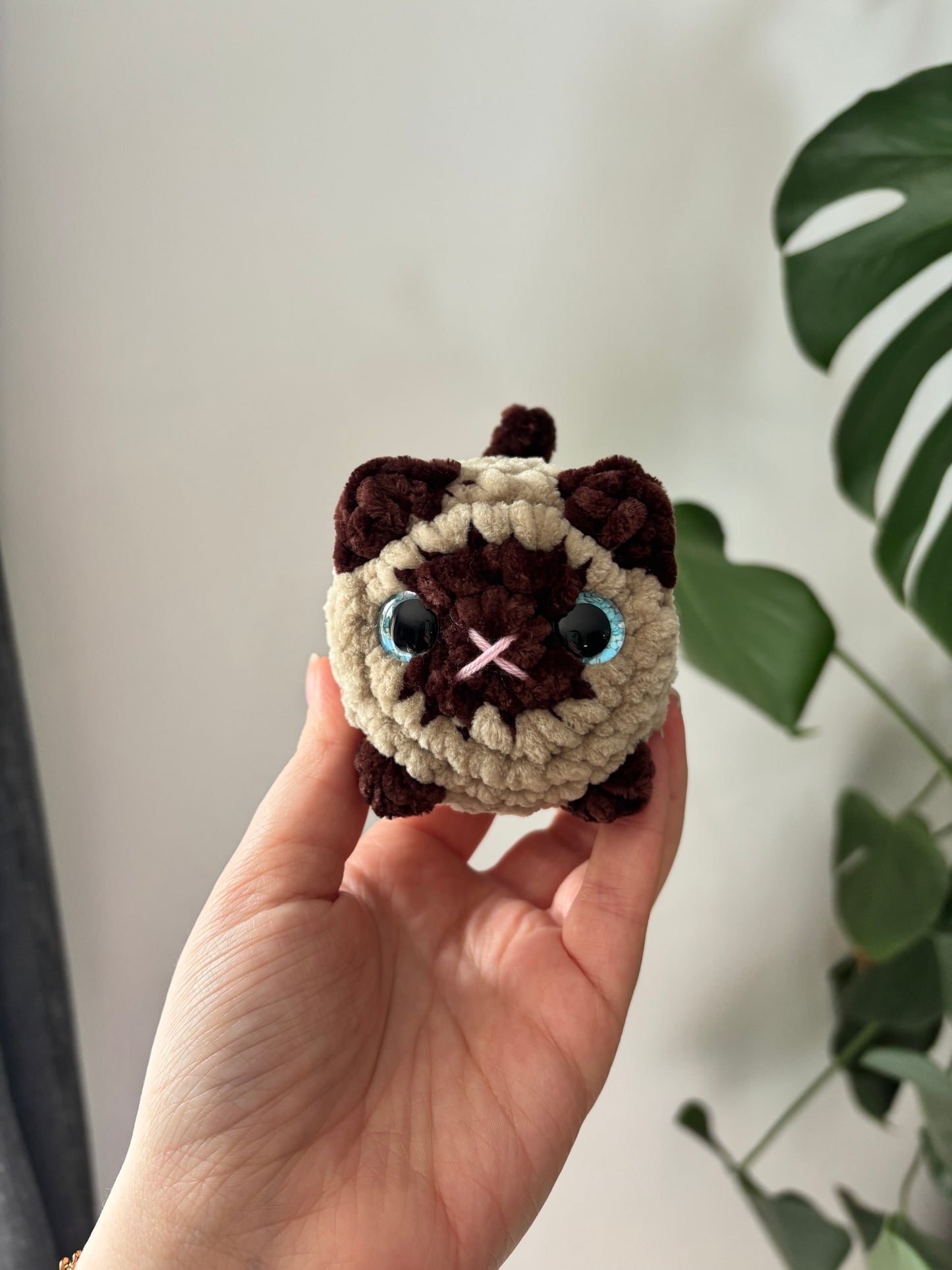 Mini chat brioche