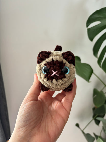 Mini chat brioche