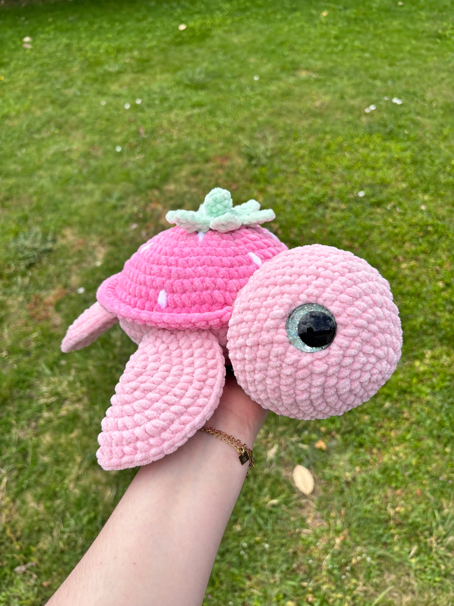 Tortue fraise 🍓