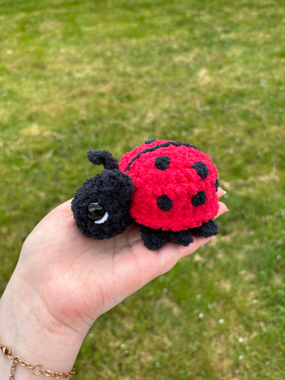Coccinelle