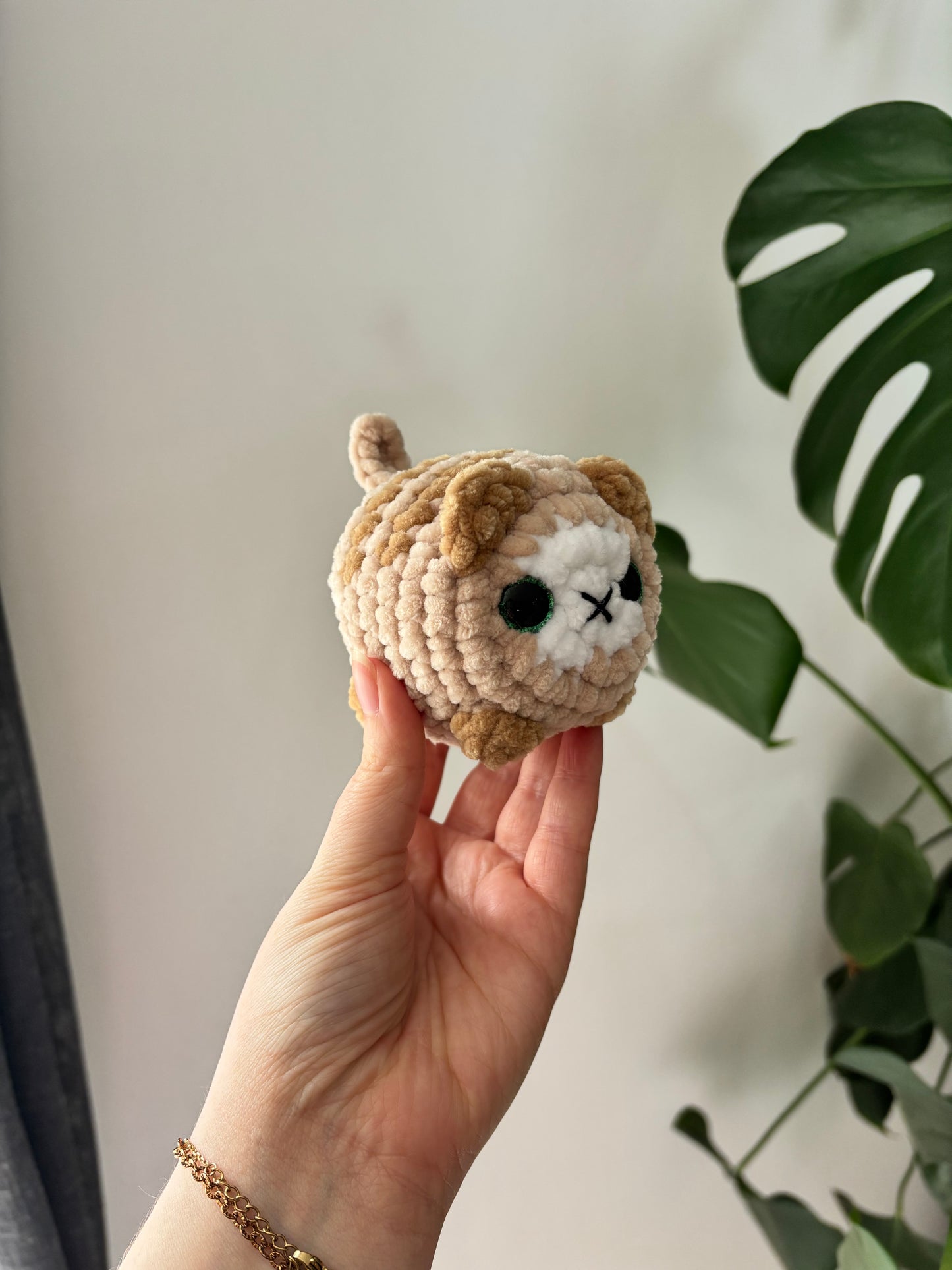 Mini chat brioche
