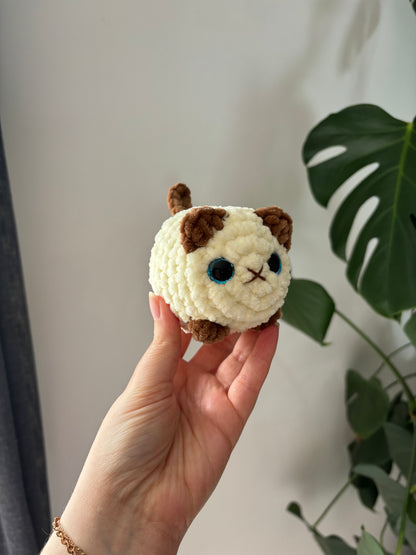Mini chat brioche