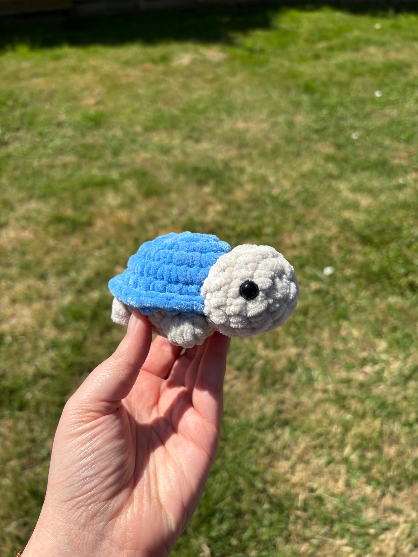 Mini tortue