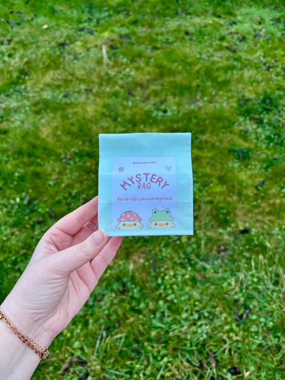 ❓sachet mystère ❓