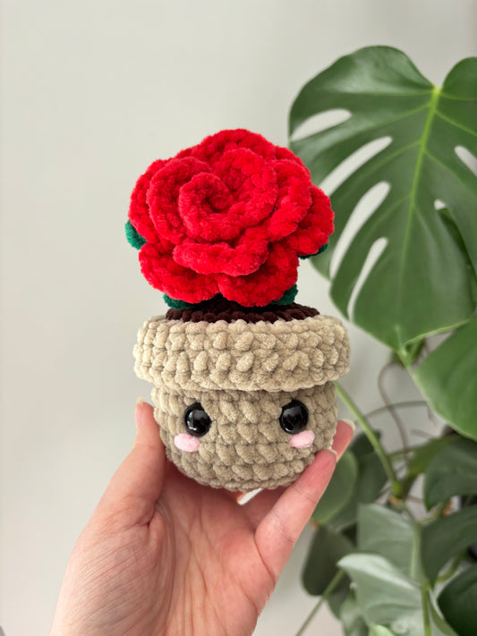 Pot rose