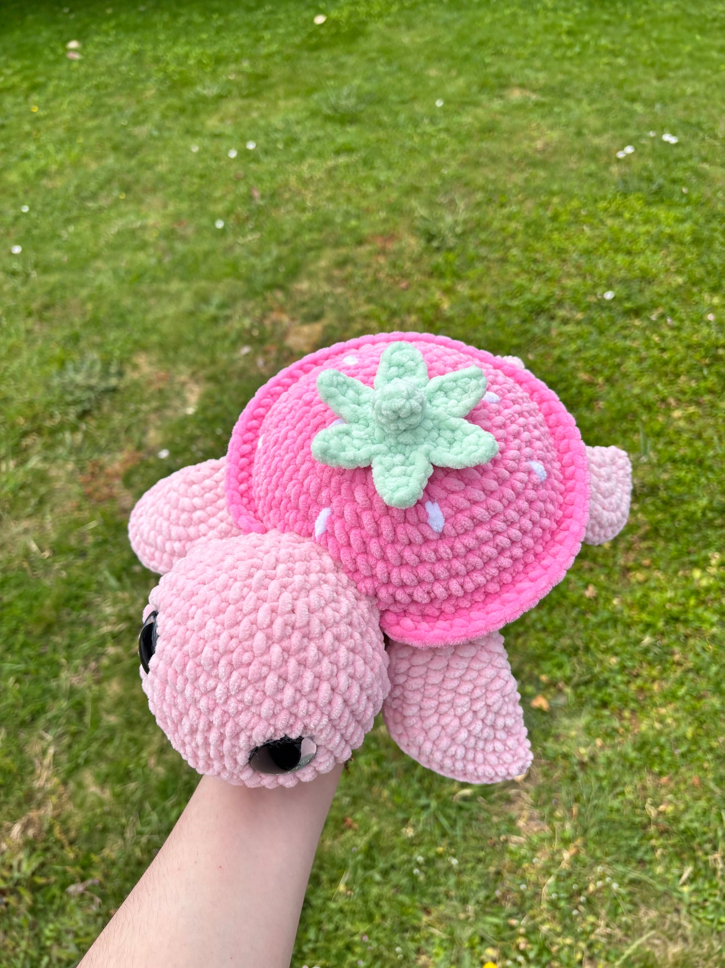 Tortue fraise 🍓