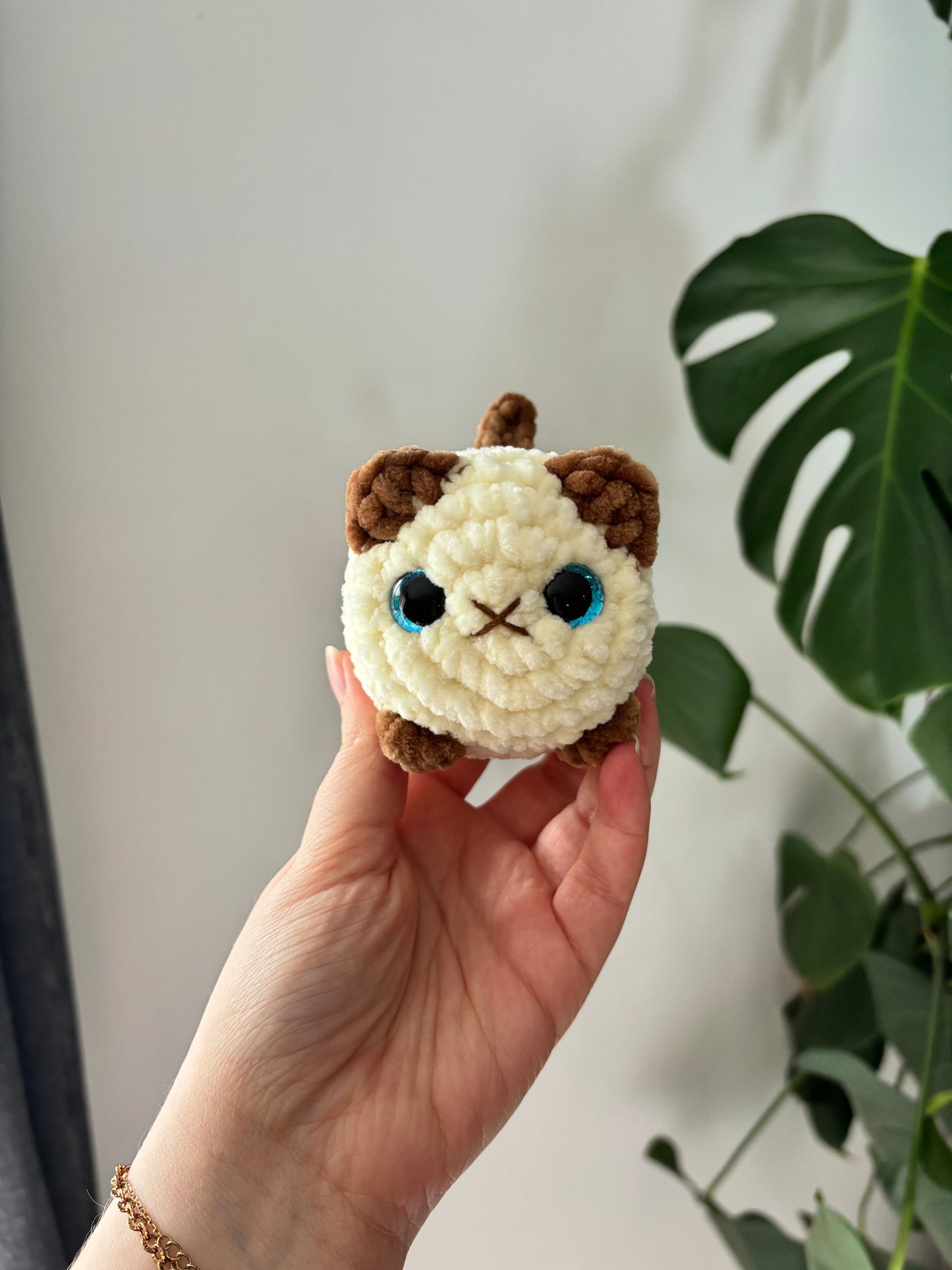 Mini chat brioche