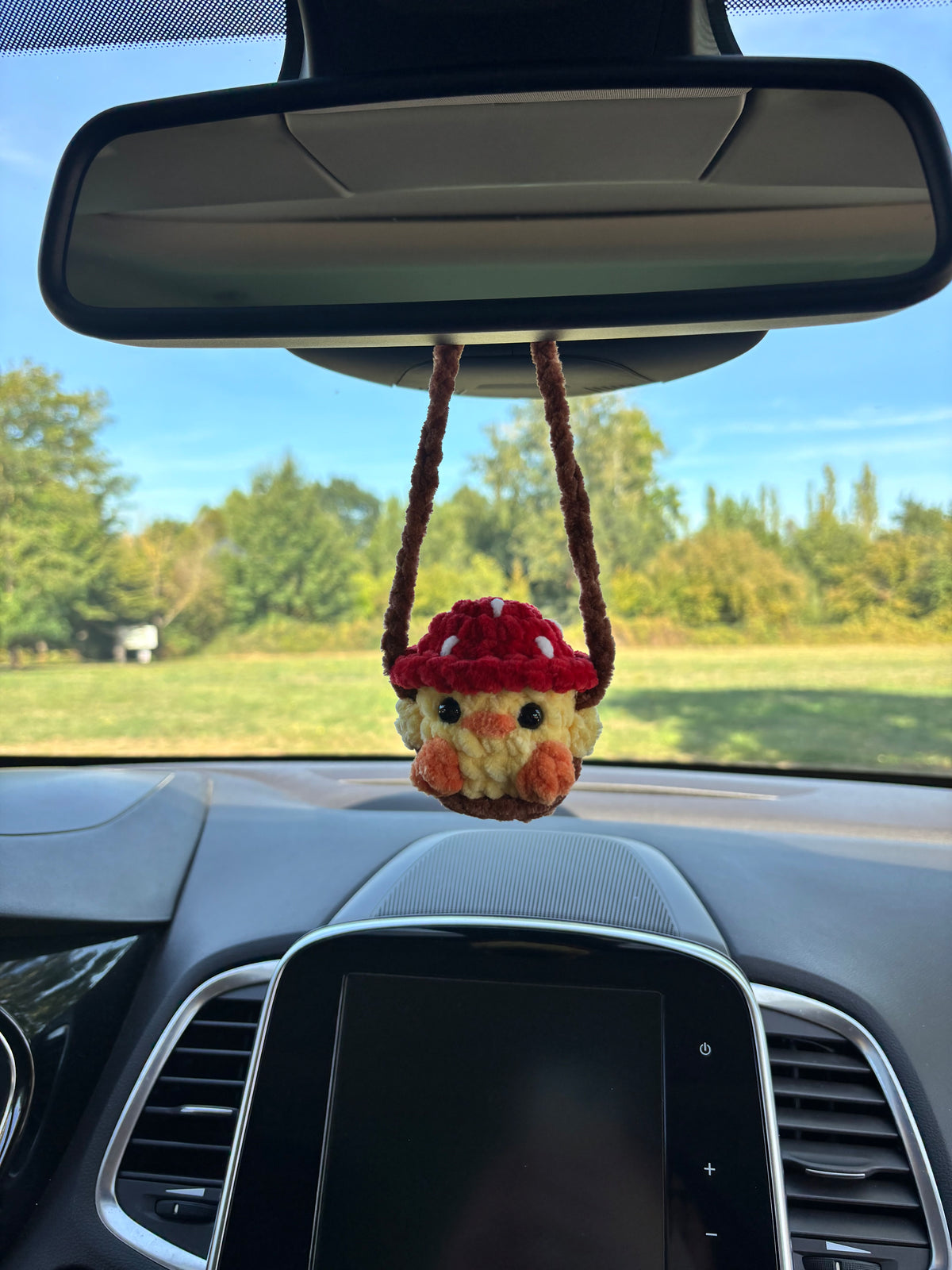 Décoration de rétro poussin champi 🍄