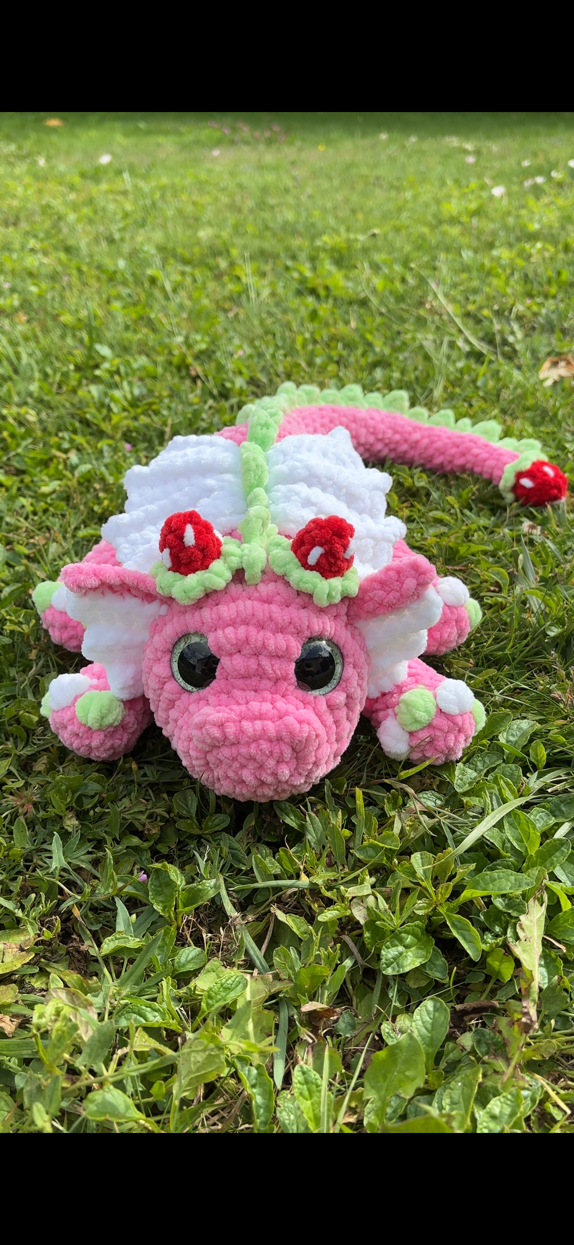 Dragon fraise 🍓
