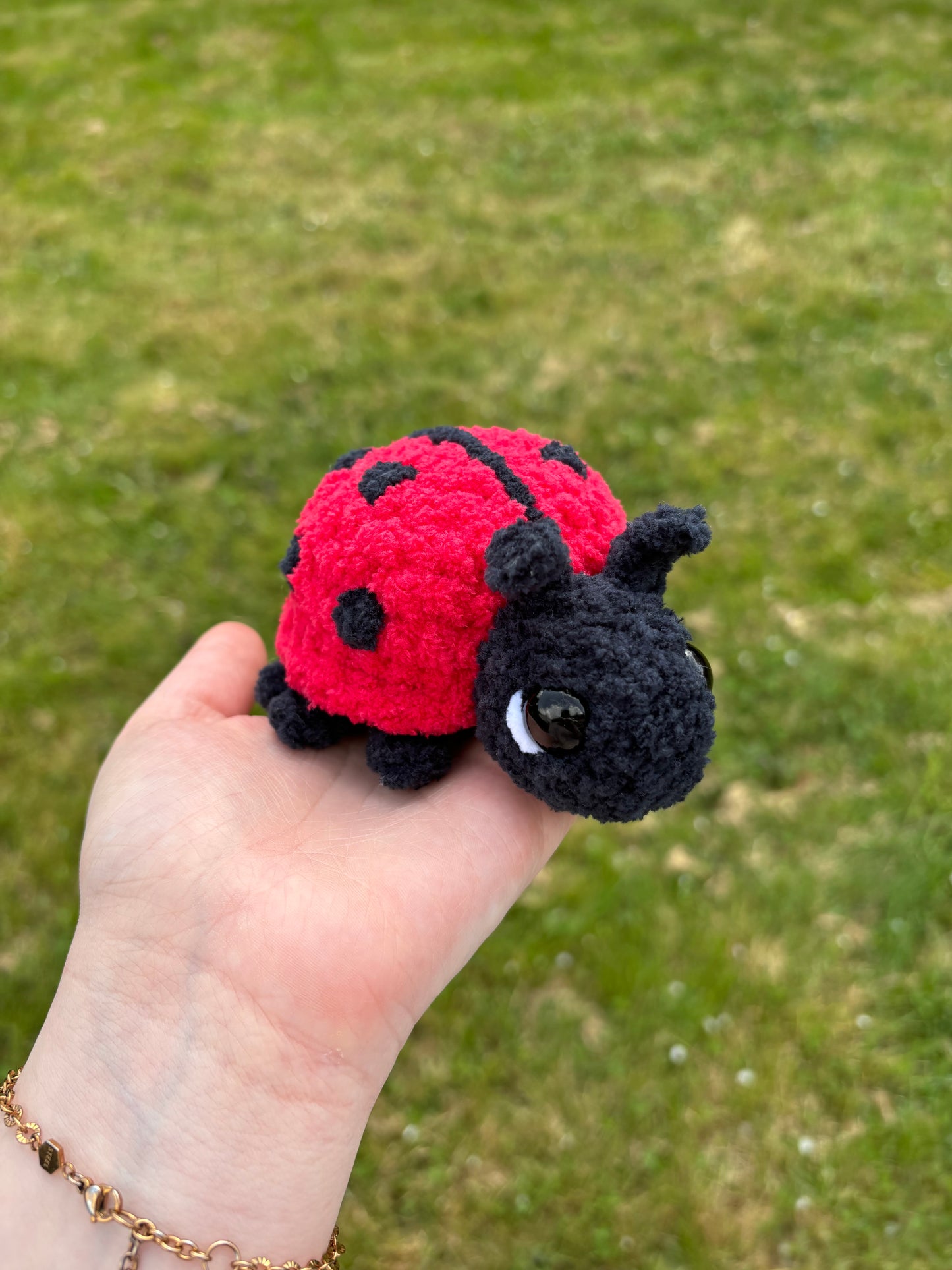 Coccinelle