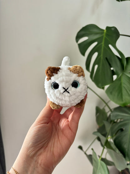Mini chat brioche