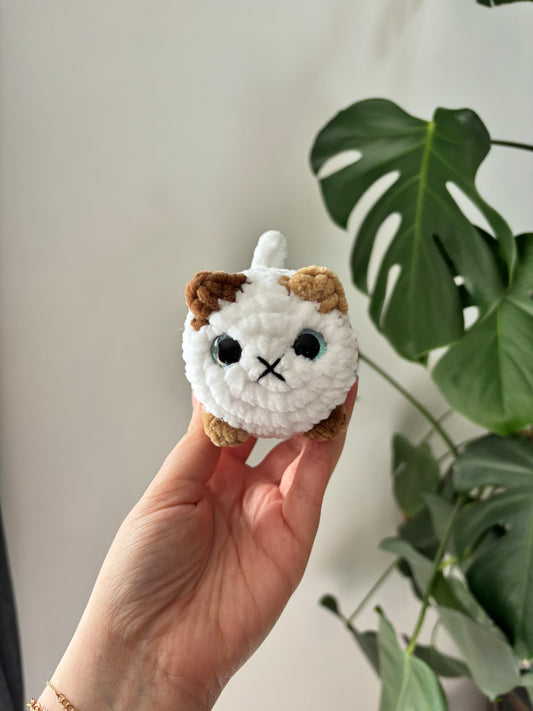 Mini chat brioche
