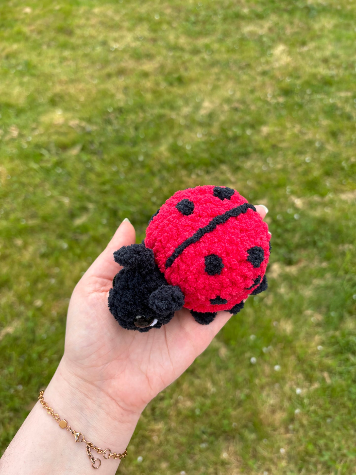 Coccinelle