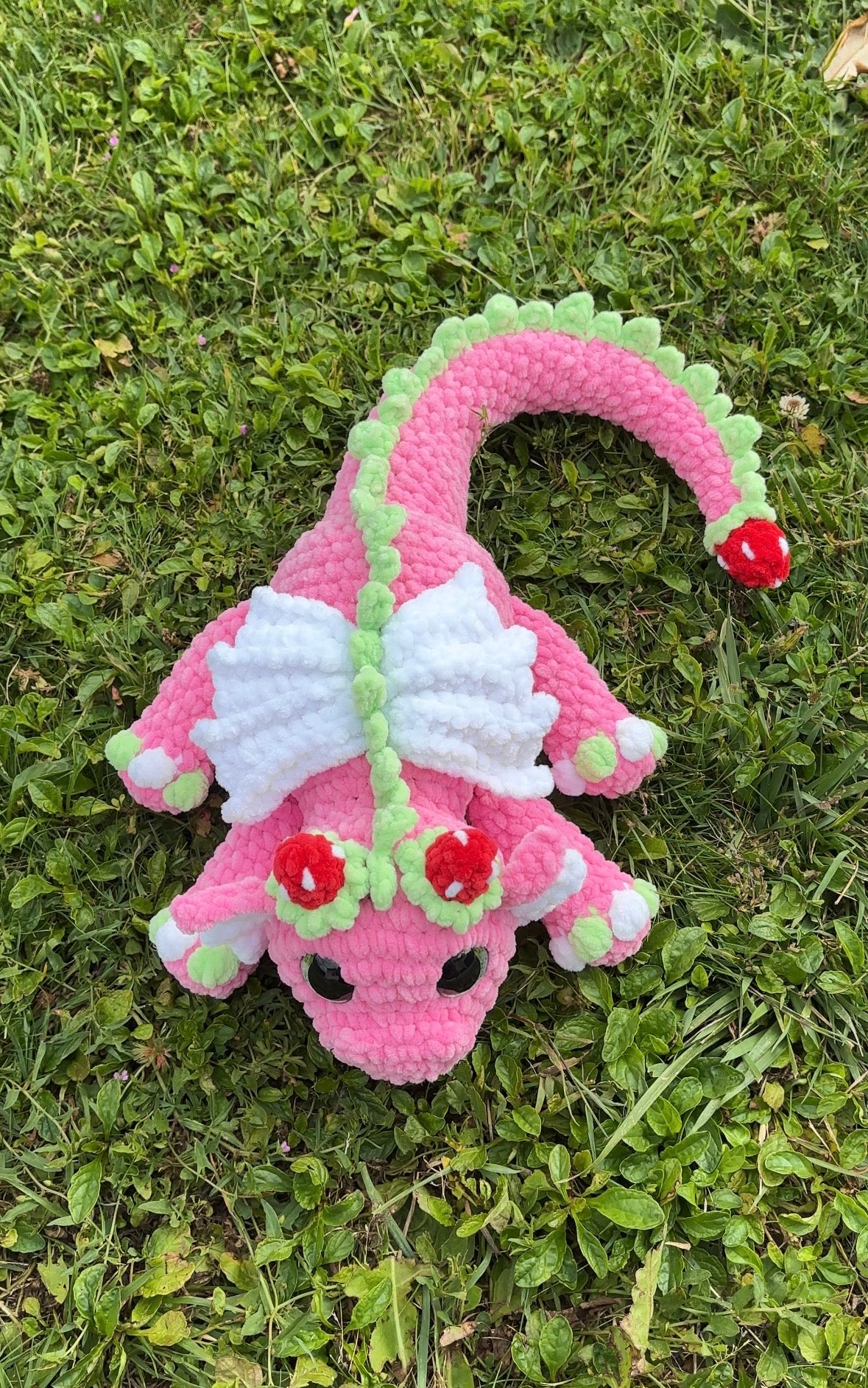 Dragon fraise 🍓