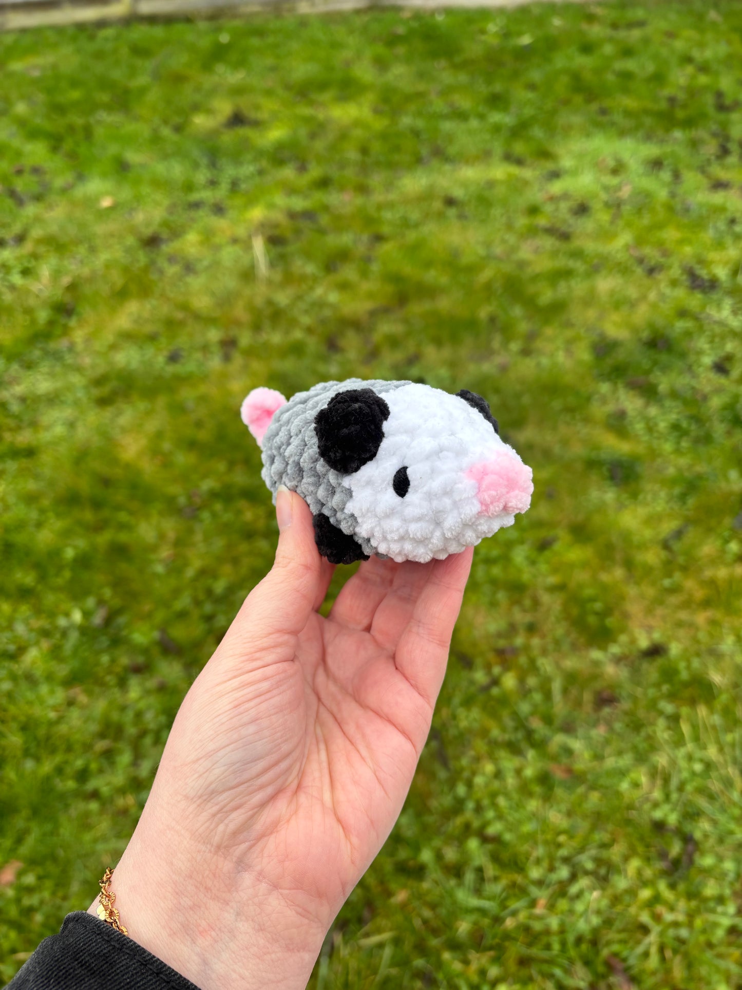 Mini opossum