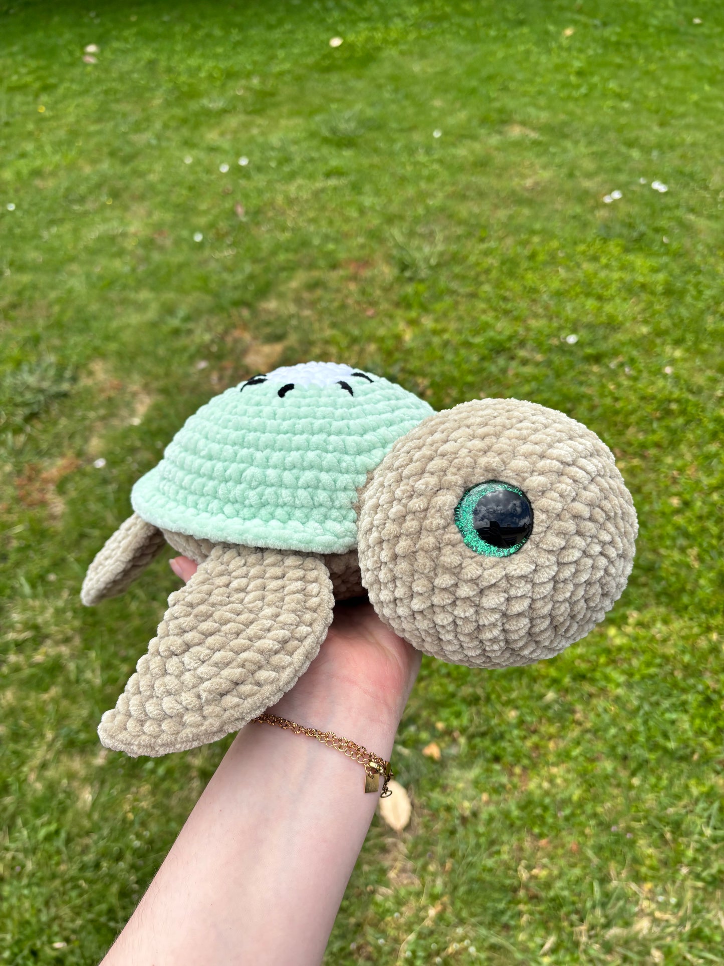 Tortue kiwi 🥝