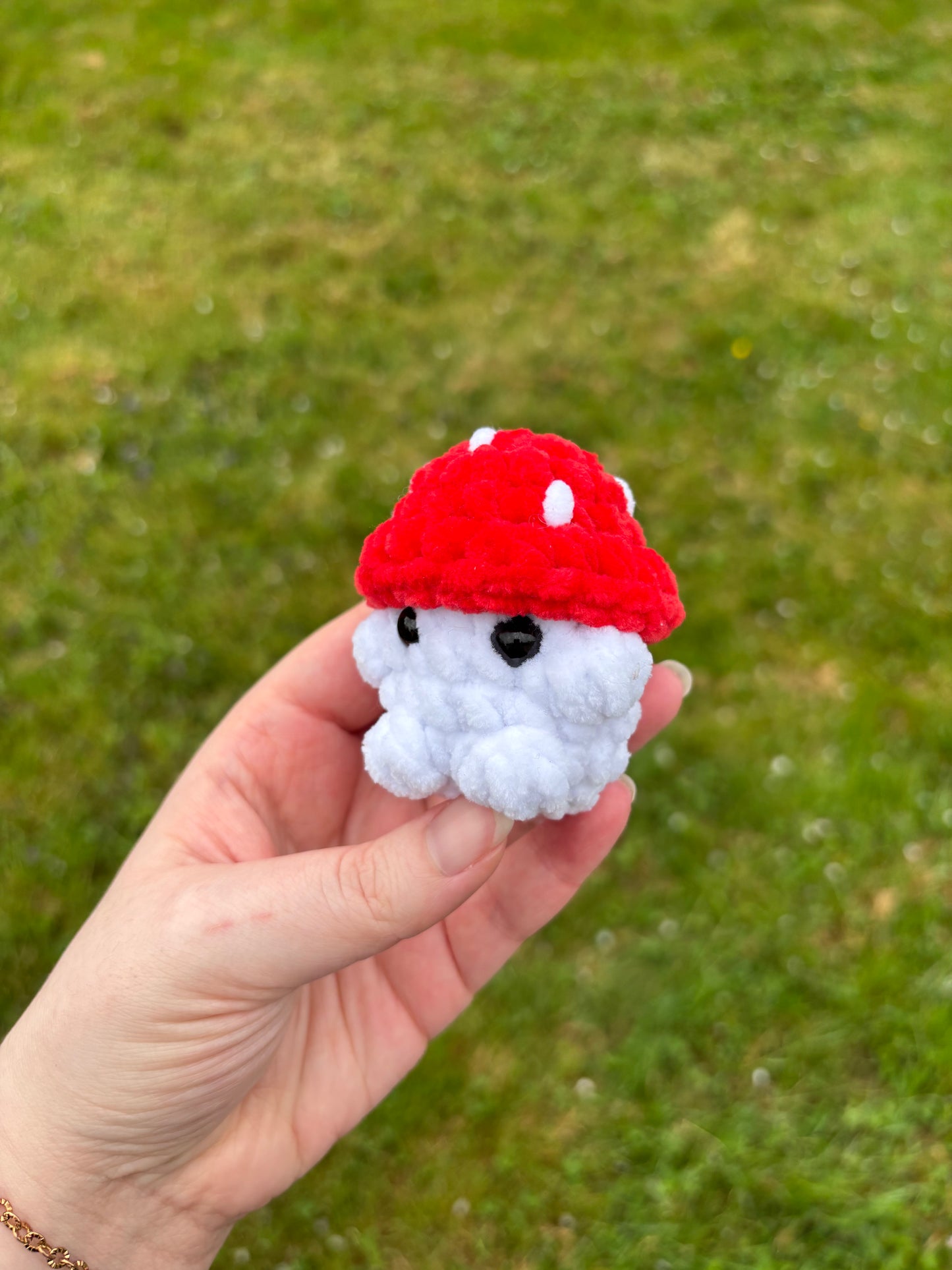 Mini champi