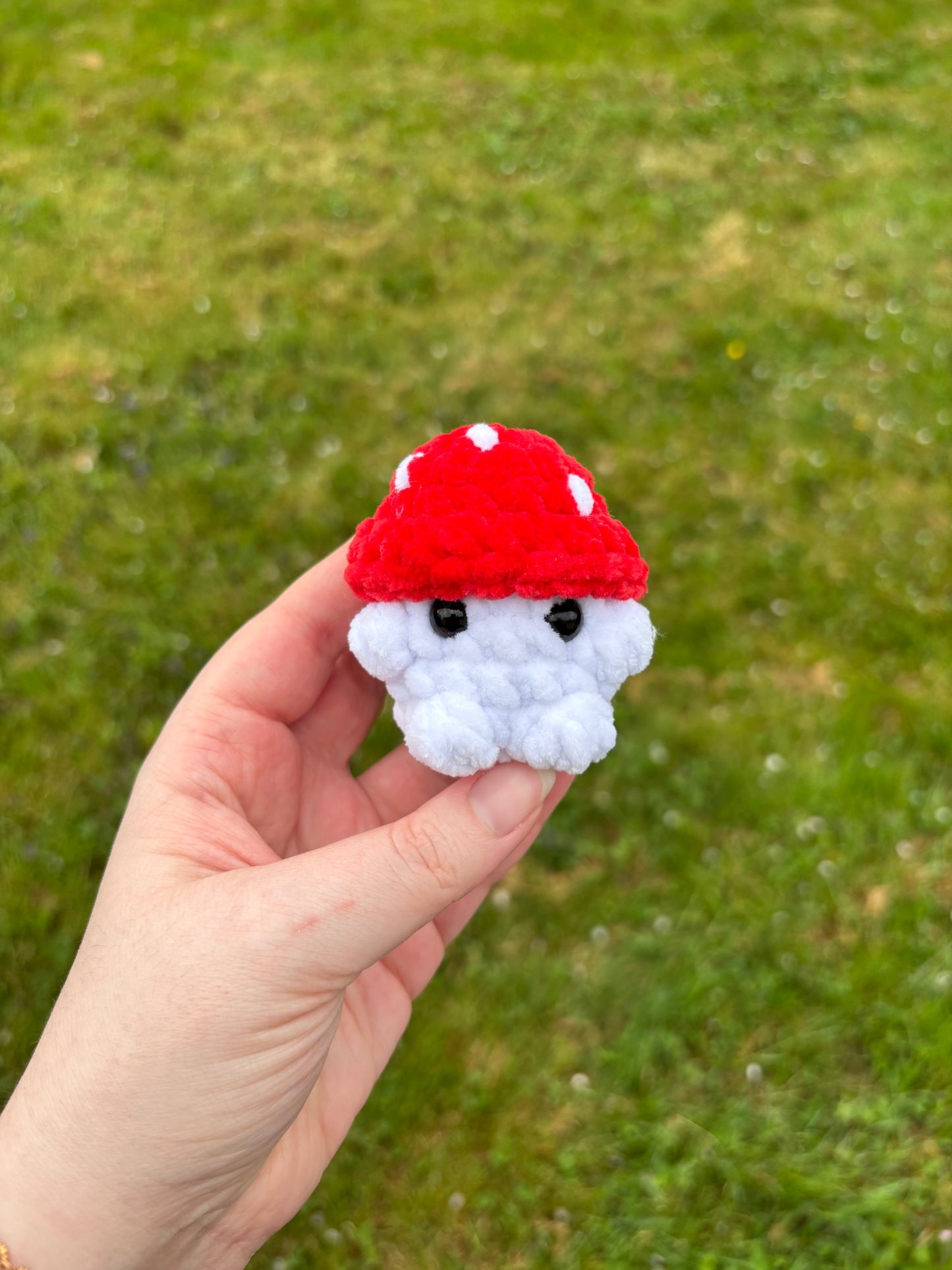 Mini champi
