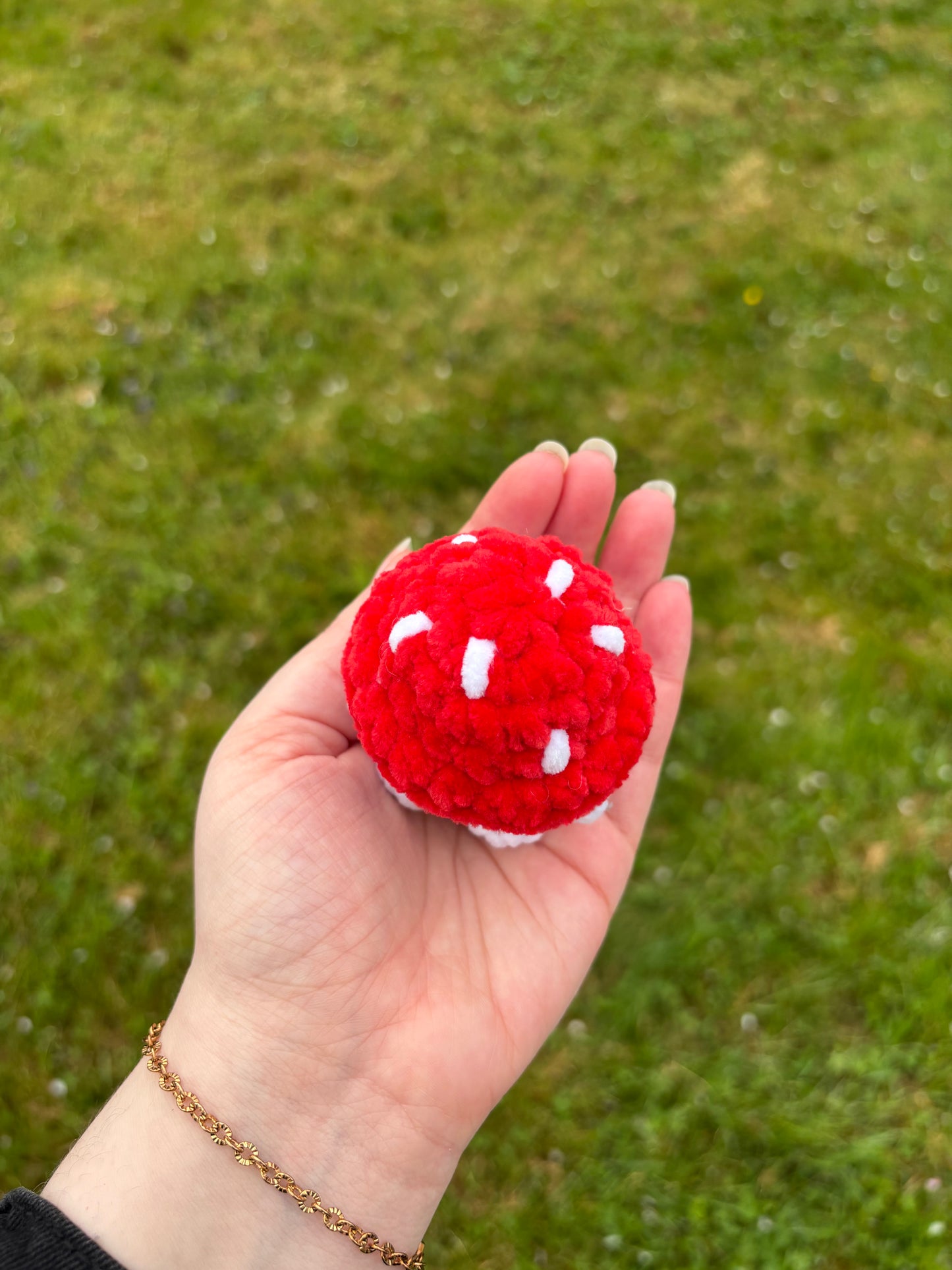Mini champi