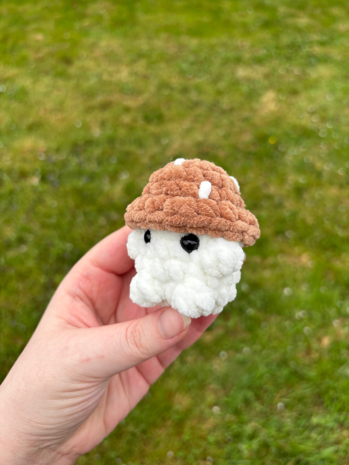 Mini champi