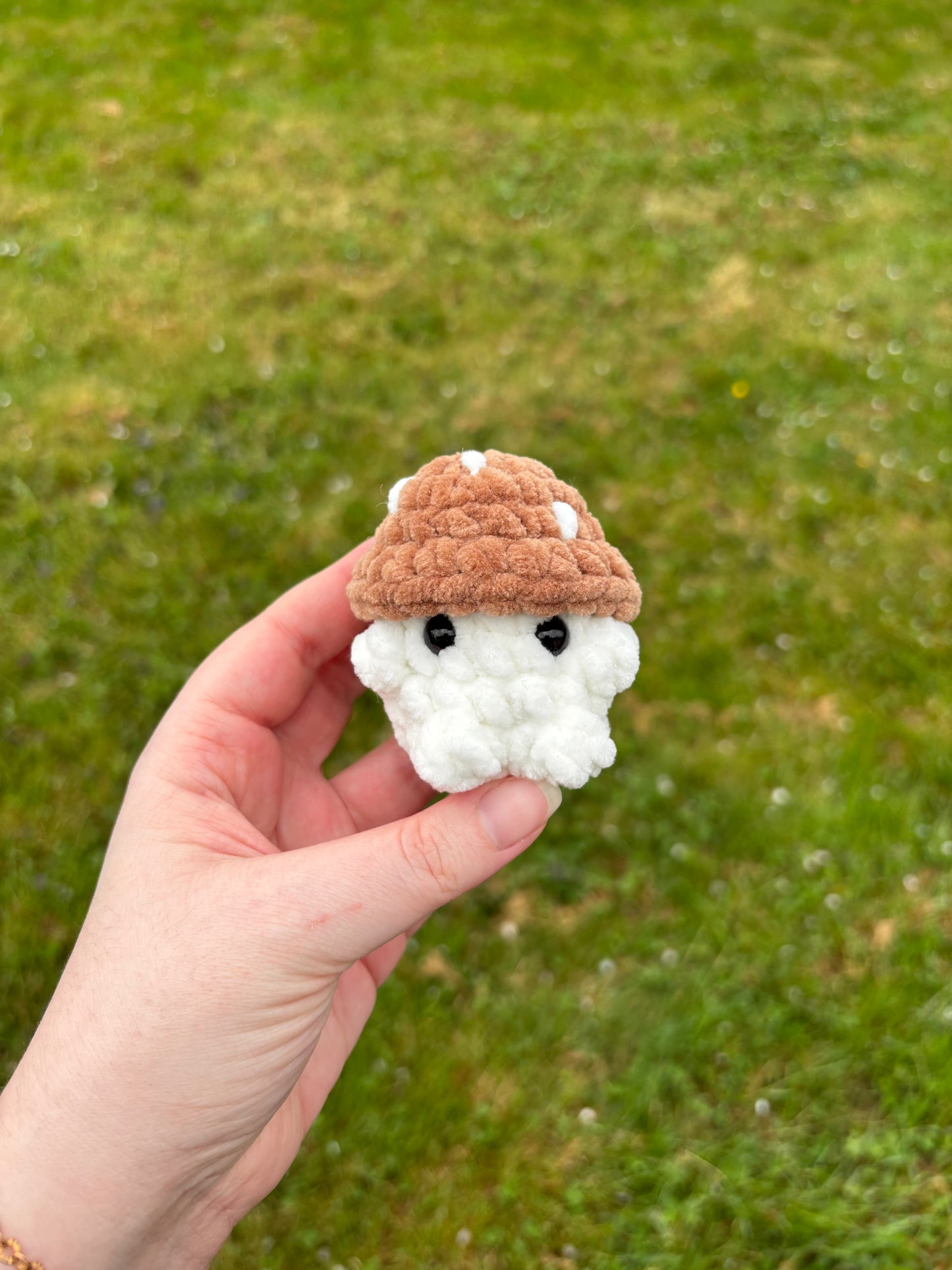 Mini champi