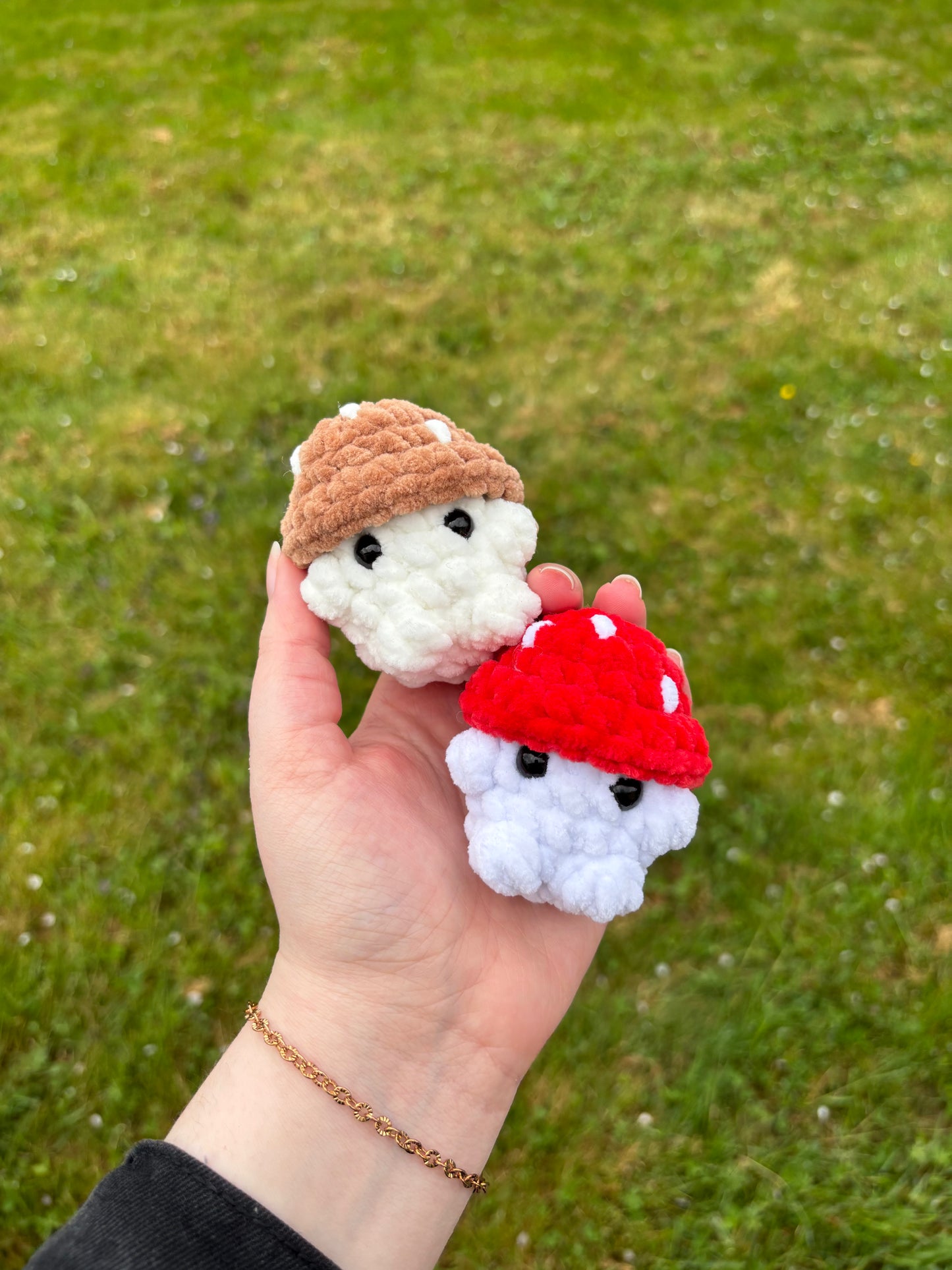 Mini champi