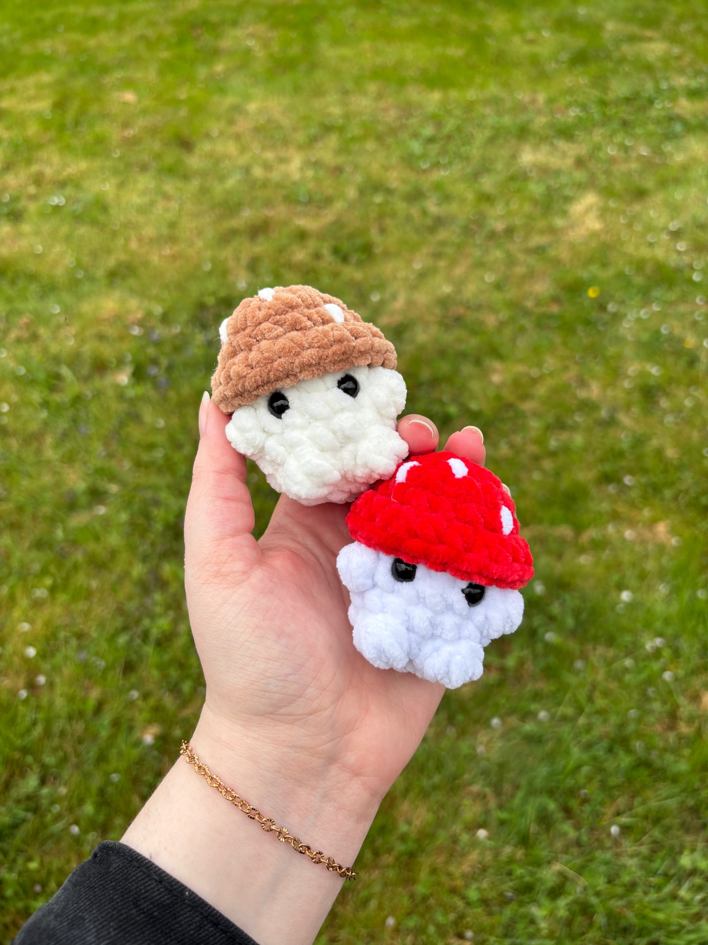 Mini champi