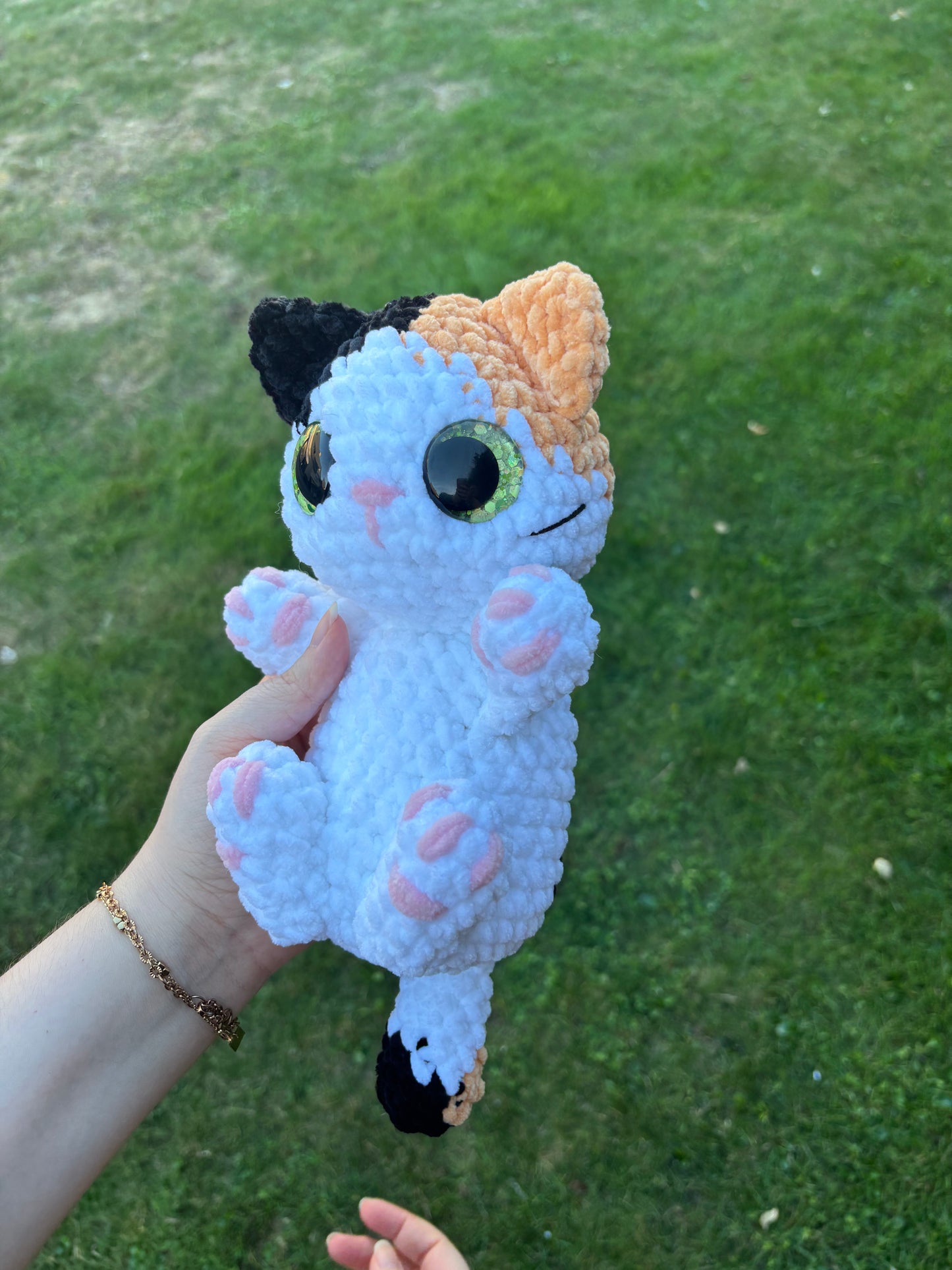 Chaton câlin 🐾