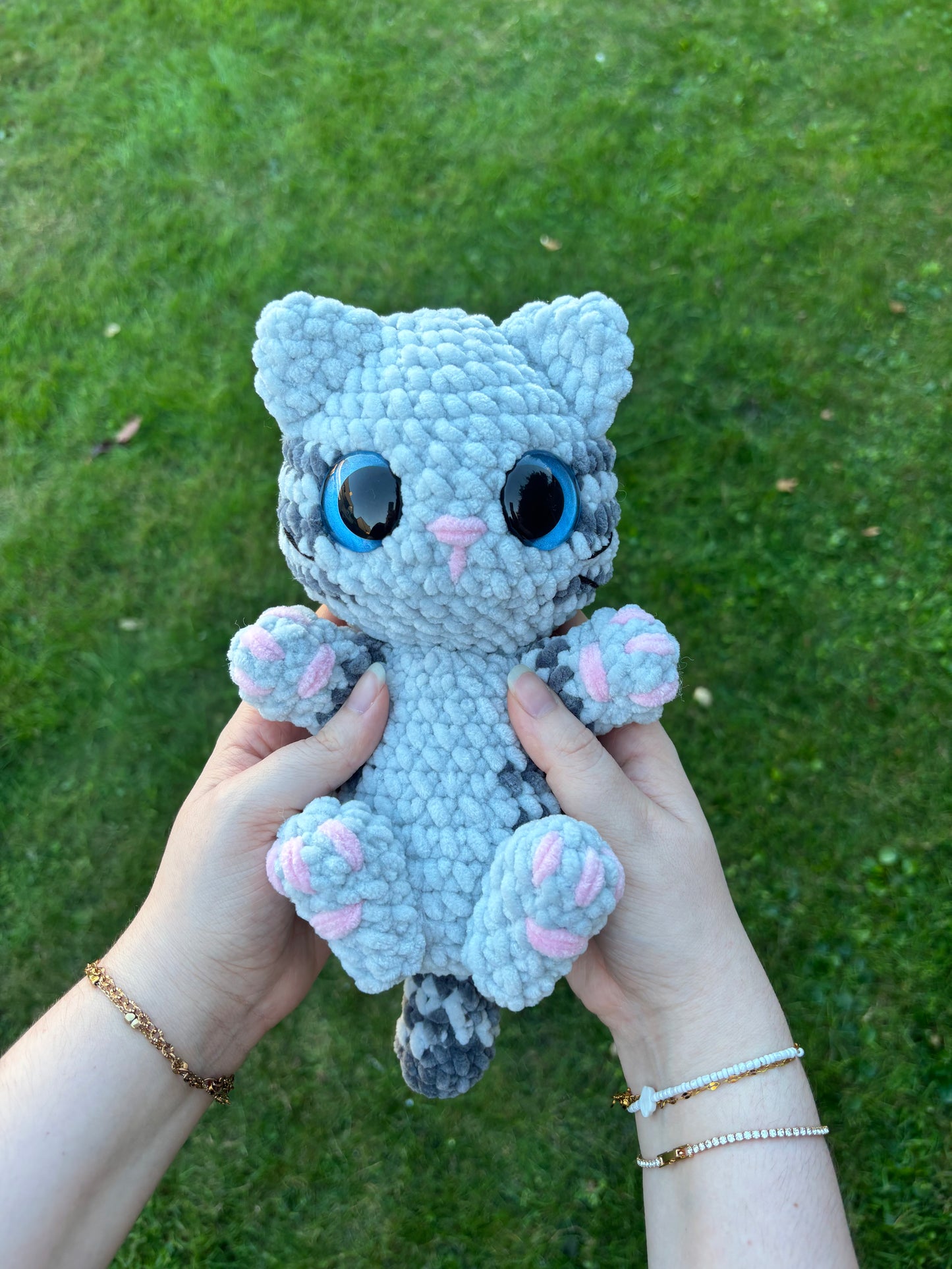 Chaton câlin 🐾