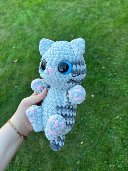 Chaton câlin 🐾