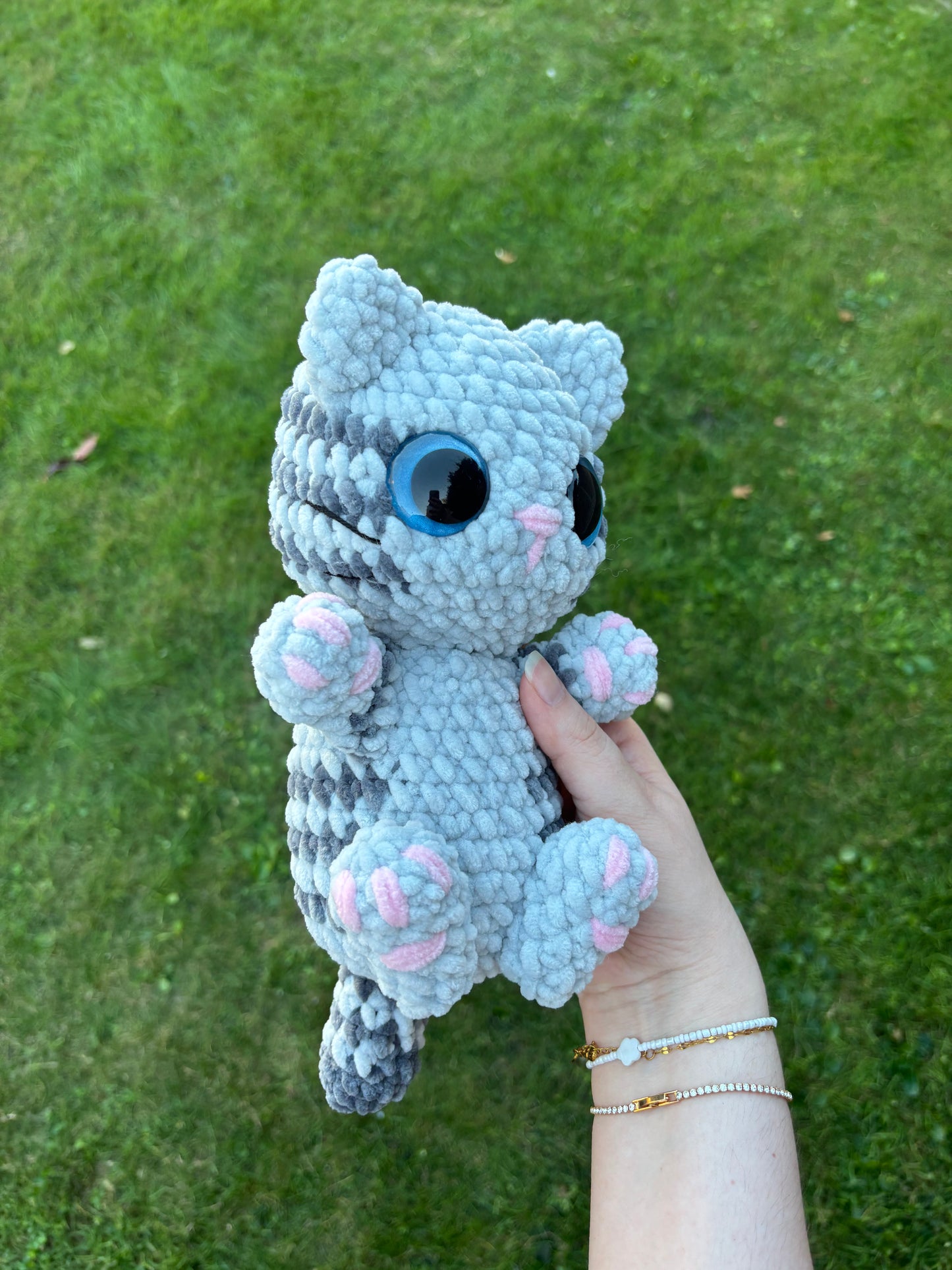 Chaton câlin 🐾