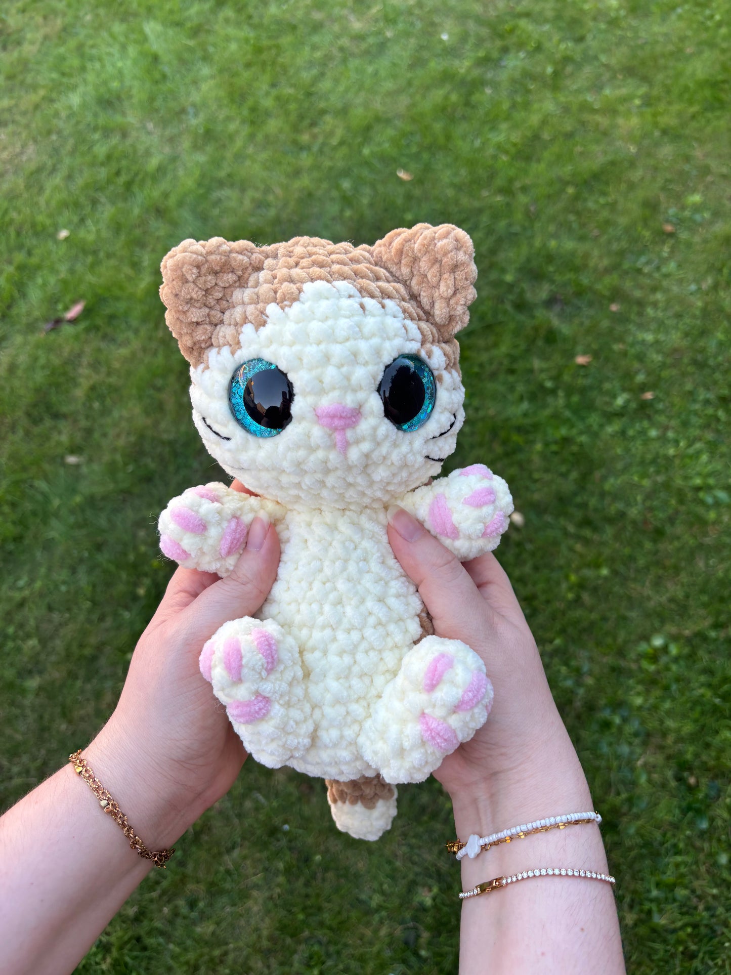 Chaton câlin 🐾
