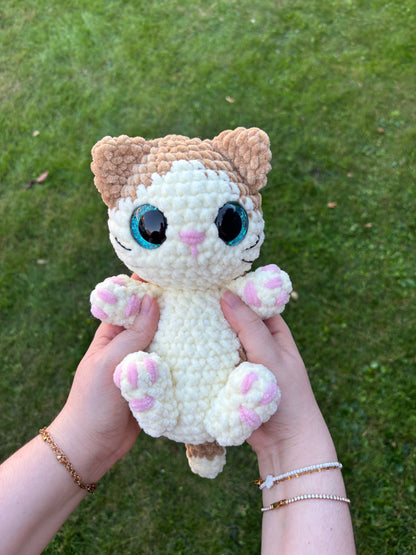 Chaton câlin 🐾