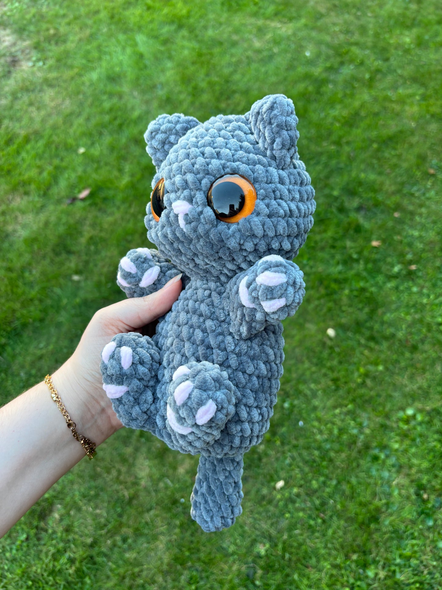Chaton câlin 🐾